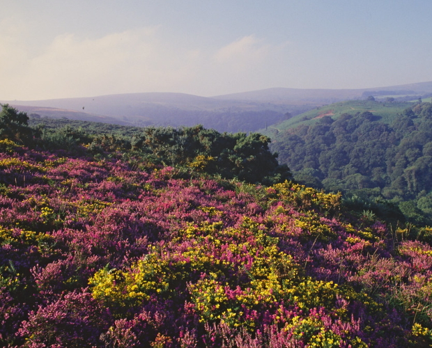 New Economic Vision for Exmoor